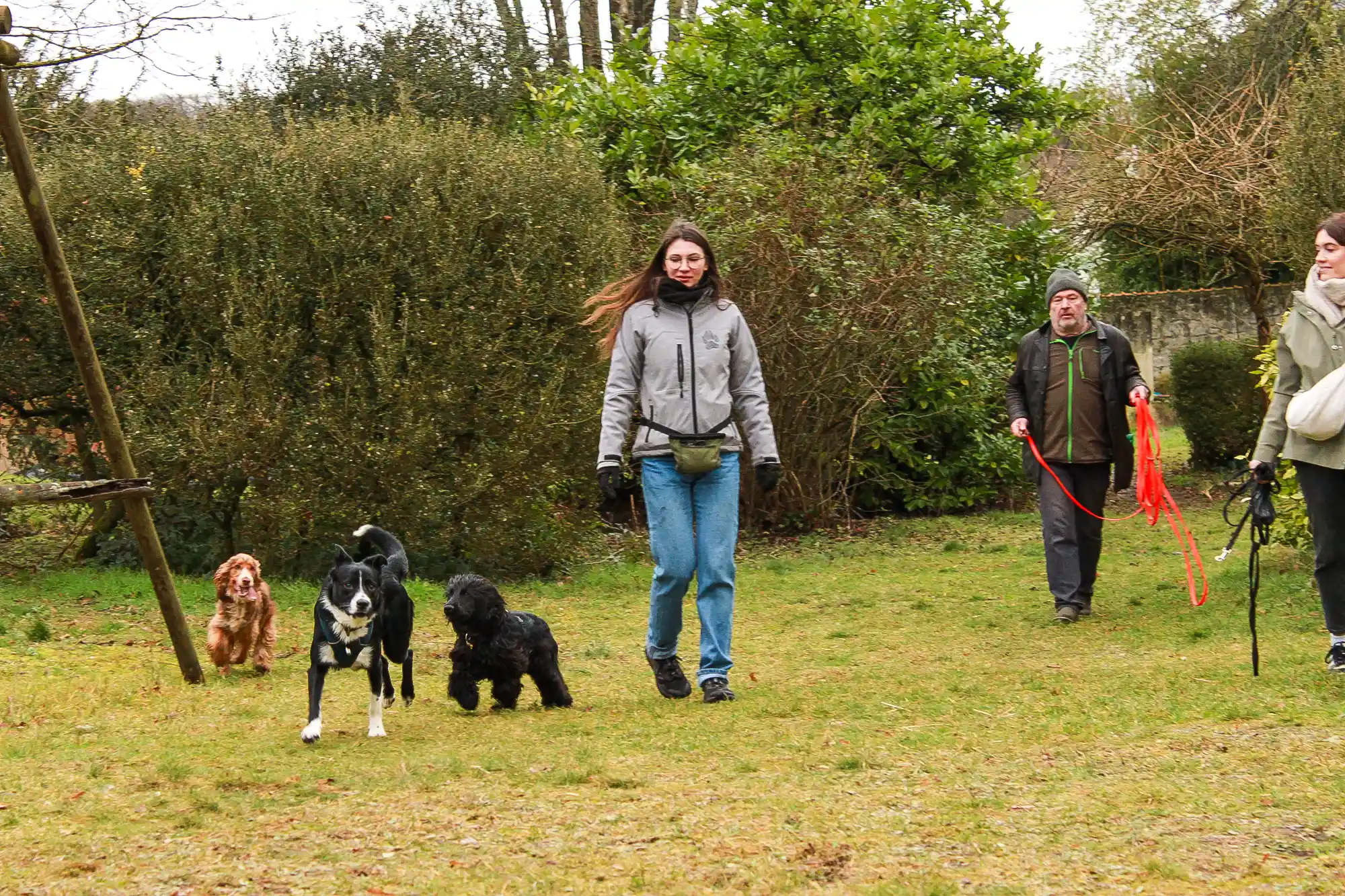 Cours collectifs canin dans l'oise