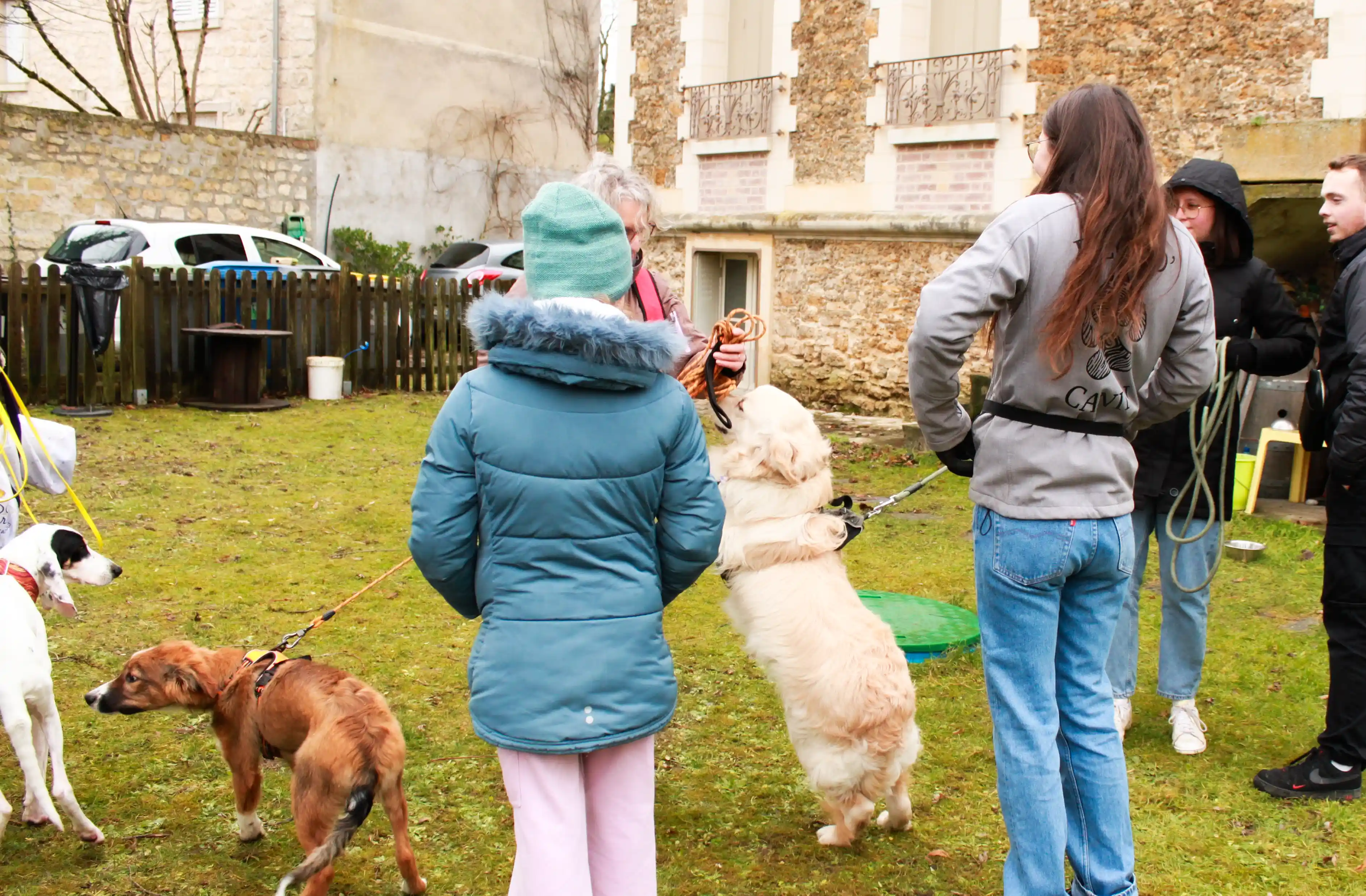 cours collectifs d’éducation canine oise