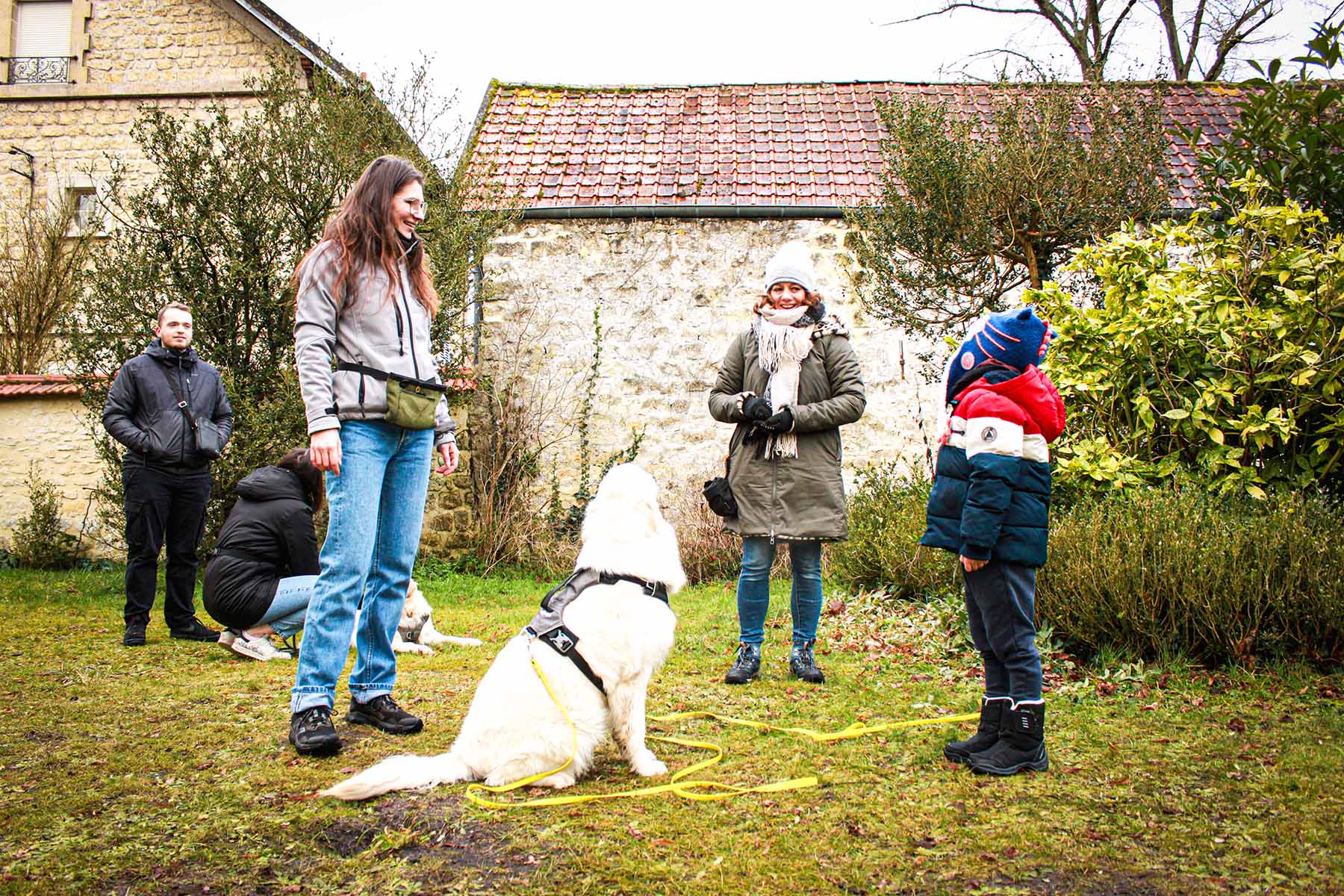 Cours collectif d'éducation canine à Coye-la-Forêt